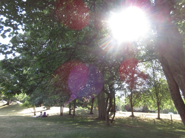 walking on campus at sunset